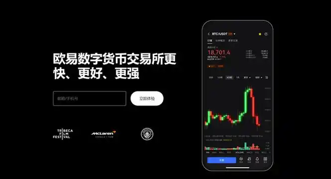 topay下载页面展示